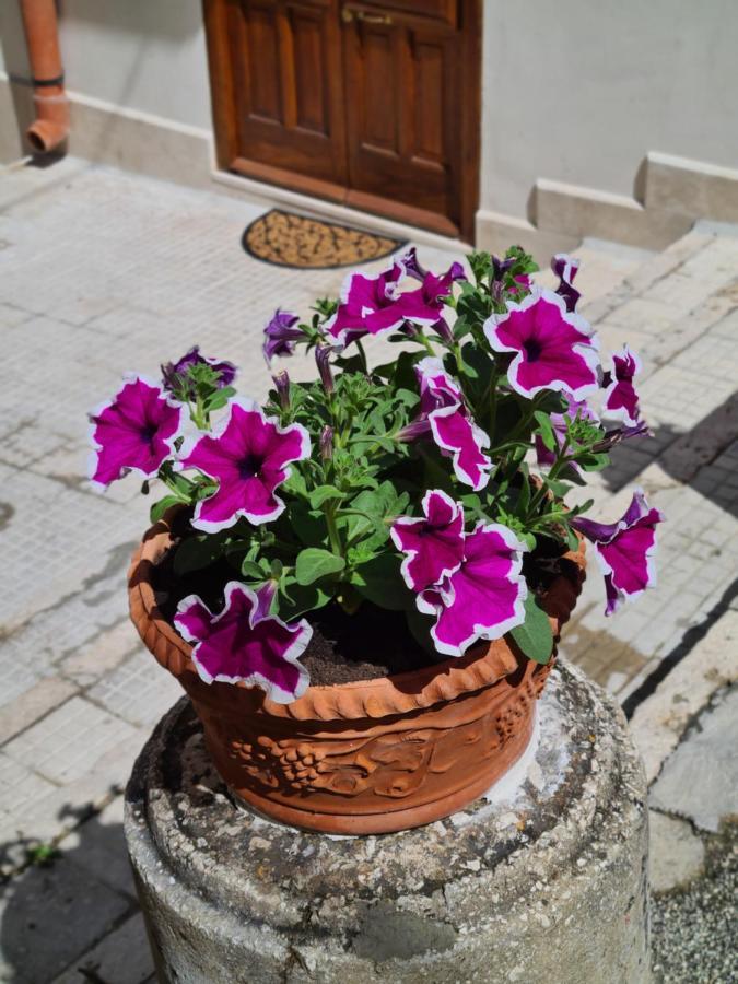 Apartamento Voltamare Castellammare del Golfo Exterior foto
